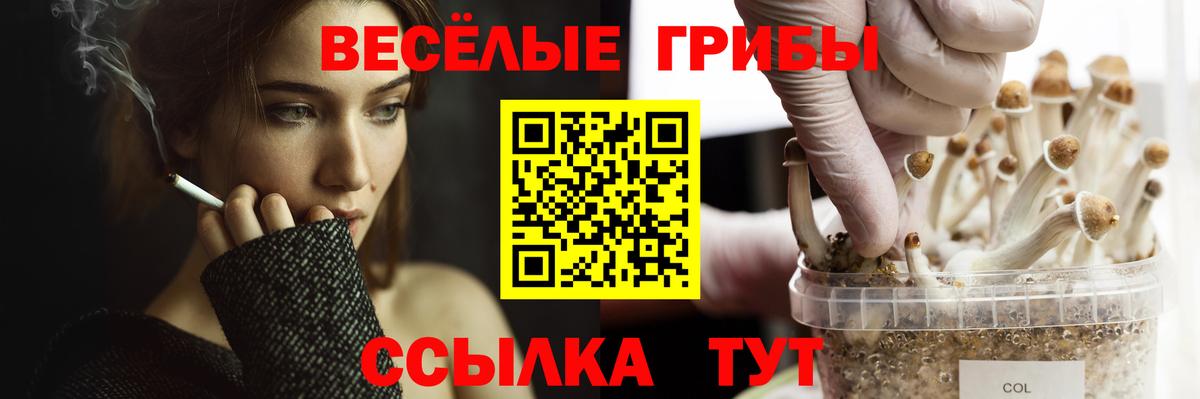 Псилоцибиновые грибы Psilocybine cubensis  Галлюциногенные грибы MAGIC MUSHROOMS  Учалы  Вход с VPN 